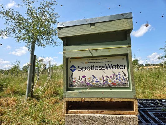 Sponsor a Beehive