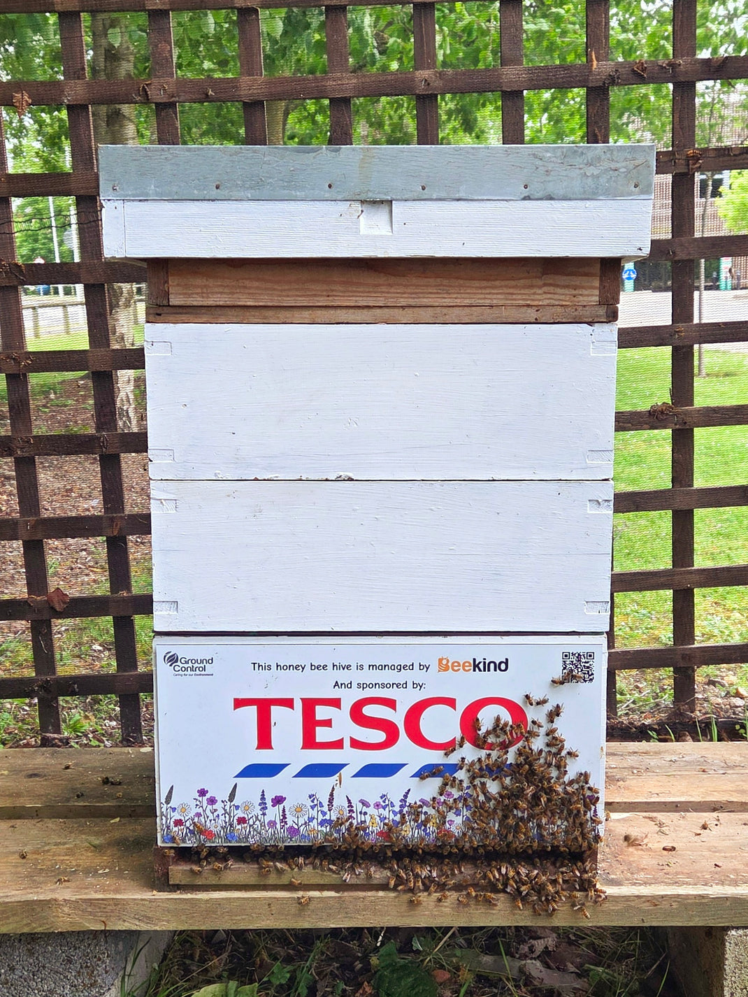 Sponsor a Beehive – Beekind Honey and Wax